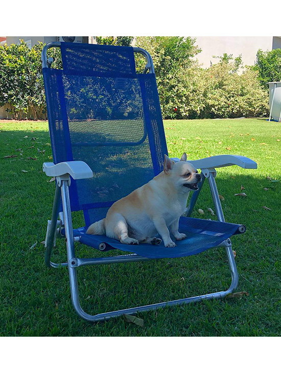 O conforto do verão é aqui. O conforto do verão é aqui.